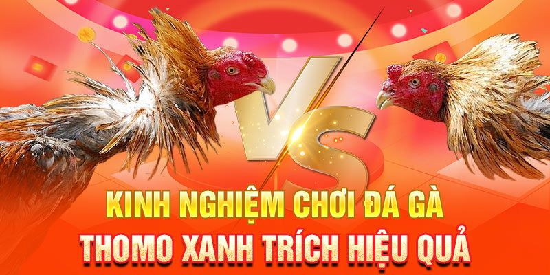 Bỏ túi một số mẹo hay giúp bet thủ cá cược thắng lớn